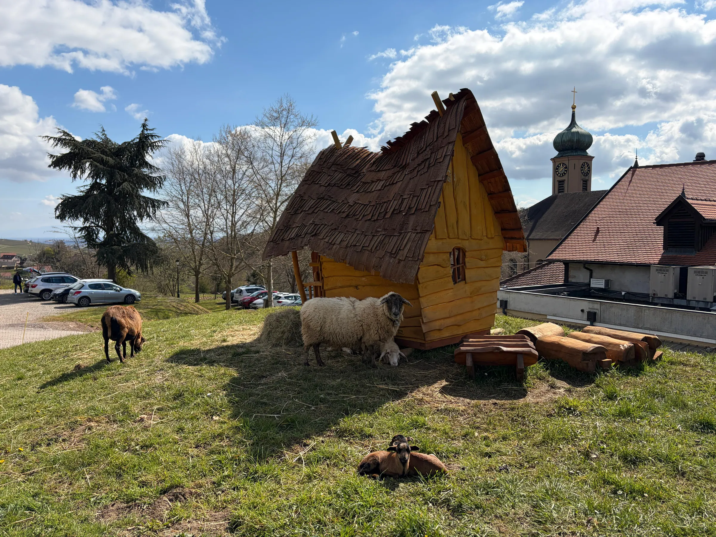 Les chèvres naines de la mini ferme